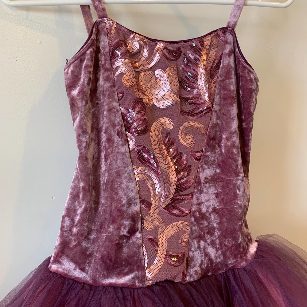 🏰 Pink and Purple Ballet Pointe Dance Costume Adult Medium or 🎀 Princess Dress - Picture 2 of 9